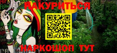 шишки Гагарин