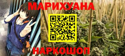 шишки Гагарин