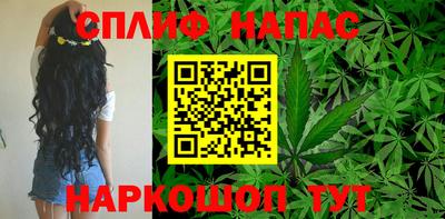 шишки Гагарин