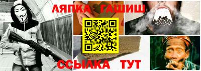 шишки Гагарин