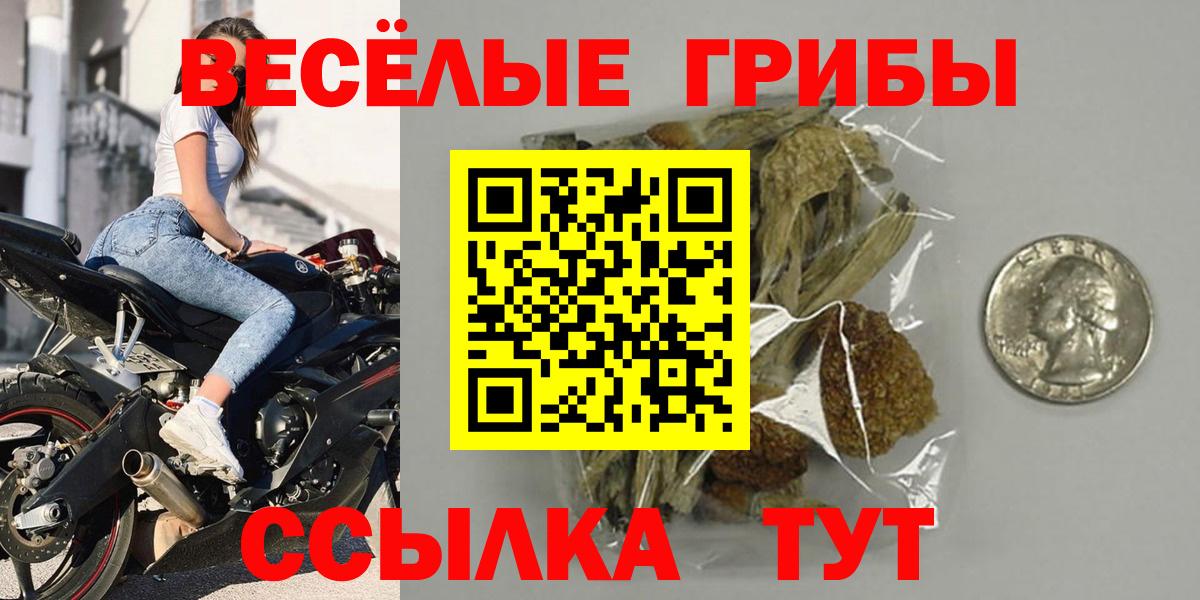 Галлюциногенные грибы MAGIC MUSHROOMS  Вход с VPN  Истра  Псилоцибиновые грибы прущие грибы 